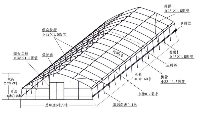 连栋温室:现代农业的绿色翅膀