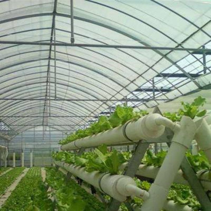 温室工程:农业发展的绿色引擎