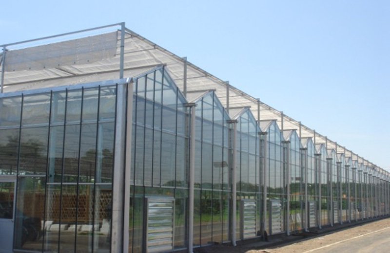 选购温室工程:打造绿色梦想的温馨小屋